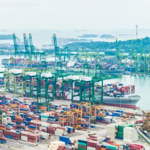 واردات کالا